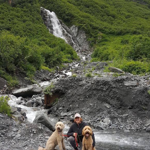 Meet your Posher, Chloe - Picture 1 of 1